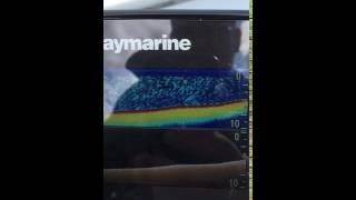 raymarine dragonfly 4 Pro