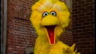 Sesame Street - Scenes from Episode 3602