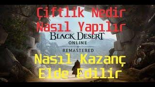 Bdo Çiftçilik Nedir Nasıl Yapılır Hangi Yollarla Para Kazanılır. #21