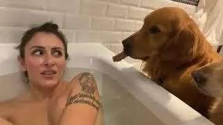 Mamma si fa un bagno rilassante – i suoi cani decidono di rilassarsi con lei