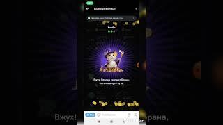 Hamster combat airdrop combo 16 июня 2024 года забери 5 000 000 токенов #hamsterkombat #hamsters