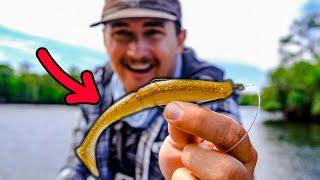 Catching Fish Deep in the Saltwater Backcountry