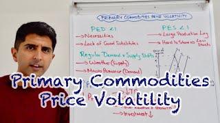 Y1 40 Primary Commodities Price Volatility - Causes and Consequences