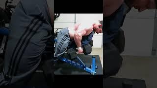 Supported Dumbbell Row #shorts