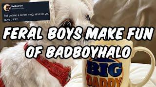 Dream team Karl and Quackity make fun of BadBoyHalo’s tweet  funny moments