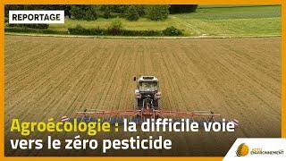 Agroécologie  la difficile voie vers le zéro pesticide