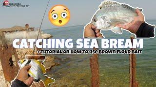 Catching Sea Bream + Tutorial on How to Use Brown Flour Bait  Randy Fishing TV