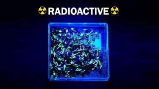 How is this way more radioactive than uranium? radium