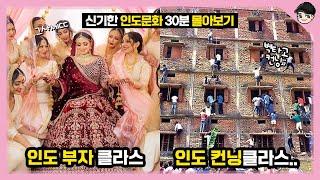 상상초월의 인도문화 ㄷㄷ 특이한 인도문화 TOP20 빠퀴2tv