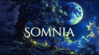 SOMNIA - Dream Land Ambience and Music  calm flowing music and sounds of peaceful dream of a meadow