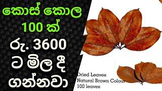 swayan rakiya at home 2024 ස්වයං රැකියා