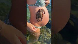 Octopus Clings To Pregnant Belly  ViralHog