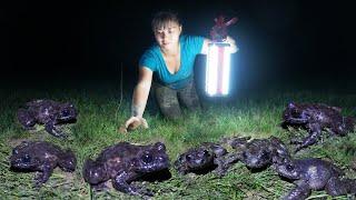 Catch Many Frogs At Night Goes To Countryside Market Sell - Ducks Care  Phuong Free Bushcraft