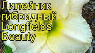 Лилейник гибридный Лонгфилдс Бьюти. Краткий обзор описание hemerocallis Longfields Beauty