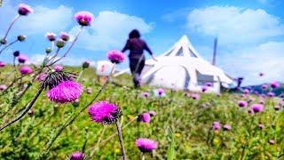 CAMPING above the CLOUDS in FLOWER LANDS - SO RELAXING TENT CAMPING