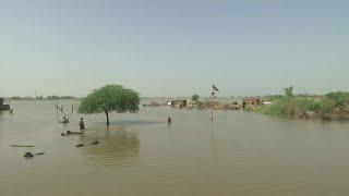 Pakistan Flooding Nearly Half a Million People Displaced