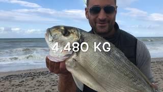 Surfcasting - Big ORATA 45 kg col verme di Rimini . Adrenalina pura e EMOZIONI