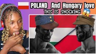 African Reacts to  Why Hungary and Poland  Love Each  Other 