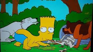 Bart lives with the dogs 