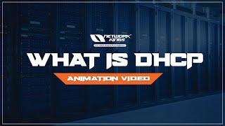 What is DHCP  Animation Video  Network Kings