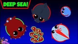 MOPE.IO DEEP OCEAN  ALL DEEP OCEAN ANIMAL IDEAS  MOPE.IO NEW BIOMEMope.io