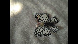 How to make butterfly out of plastic bottlePlastic bottle craft.DIY Butterfly making