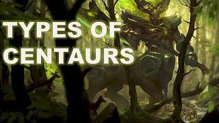 The Power And Magic Of Centaurs Exploring Mythological Hybrids