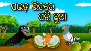 Paida Bhitare Pari Chua Odia Cartoon Odia Bird Stories Odia Chadhei Gapa Odia Moral Story