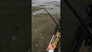 Jigging Ledges For Unbeatable Bite