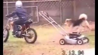 MOTORCYCLE  MOWER