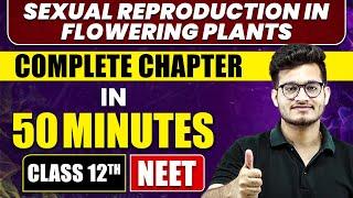SEXUAL REPRODUCTION IN FLOWERING PLANTS in 50 Minutes  Full Chapter Revision  Class 12th NEET
