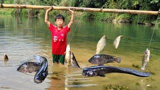 Bac use a big bamboo tree to tie a fishing net use pork as bait and catch big fish in deep stream.