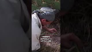 Survivorman  Eating Prickly Pear Cactus  Les Stroud