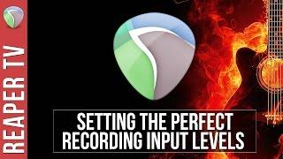 REAPER Setting Optimal Recording Levels