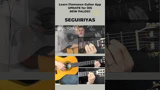 Learn Seguiriyas Compas with Learn Flamenco Guitar App