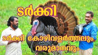 Turkey Poultry Farming Income All You Need To Know About Turkey Poultry Turkey Farming  Turkey kozhi.