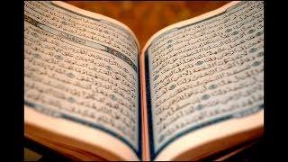 মধুর কন্ঠে সম্পূর্ণ কোরআন তেলাওয়াত ৩০পারা- পাঠ-01    al-quran  Full Quran