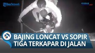 VIDEO CCTV Bajing Loncat Vs Aksi Sopir Truk Tiga Terkapar di Jalan Kok Bisa?