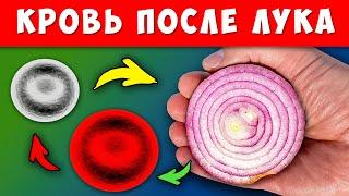 Что творит ЛУК с Сердцем Кровью Костями Кишечником и даже...