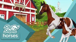 Star Stable Horses App – Updated trailer AndroidIOS