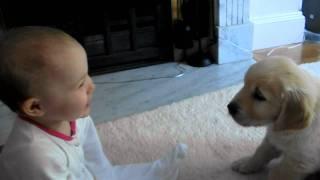 Baby and Puppy meet for the first time