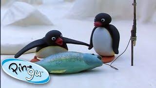 Pingu Goes Fishing With His Family  @Pingu  1 Hour  Cartoons for Kids