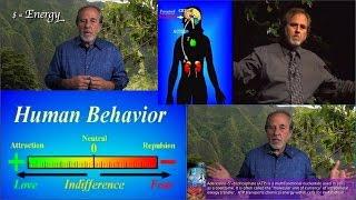 Bruce Lipton - Fear vs Love State and Stress’s Effect on Your Body