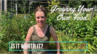 Is Growing Your Own Food Worth It? Garden Tour Highs & Lows