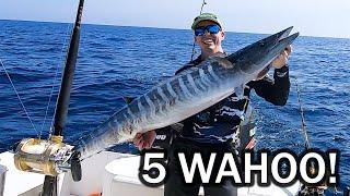 Our BEST Wahoo Trip Yet High Speed Trolling and Medium Speed Trolling