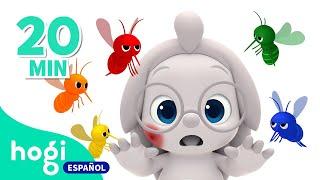 ¡No Me Molestes  Aprende los Colores con Mosquitos y Más  Colores para niños  Hogi en español