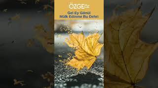 Özge Öz - Gel Ey Gönül Mülk Edinme Bu Dehri #GelEyGönül #MülkEdinmeBuDehri #keşfet #shorts #türkü