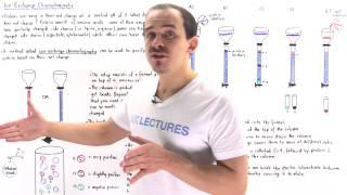 Ion Exchange Chromatography