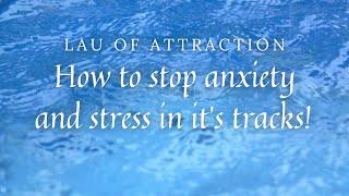 How to stop anxiety & stress in its tracks  Vagus Nerve Reset  Box Breathing End Fight or Flight