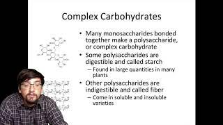 BIOL1322 - Chapter 4 Summary